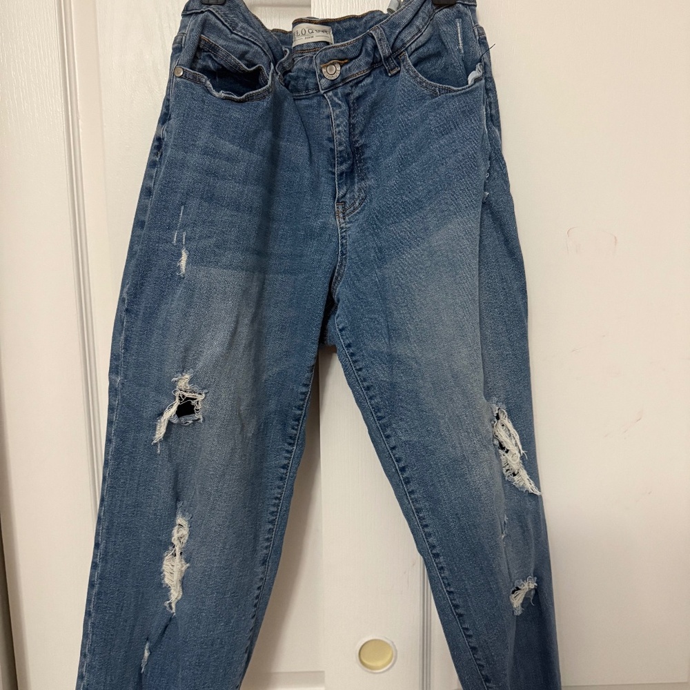 Eloquii Distressed Spring Jeans
